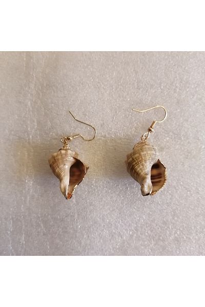 Butik Tülin Women's Authentic Handmade Natural Seashell Snail Beige Gold Leaf Earrings 4.5X1.7Cm