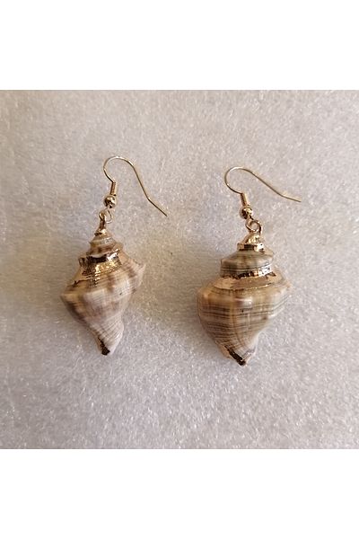Butik Tülin Women's Authentic Handmade Natural Seashell Snail Beige Gold Leaf Earrings 4.5X1.7Cm