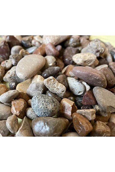 Generic أحجار نهر بيدرا المختلطة، أحجار زخرفية للحدائق، أحواض السمك، ديكورات ...
