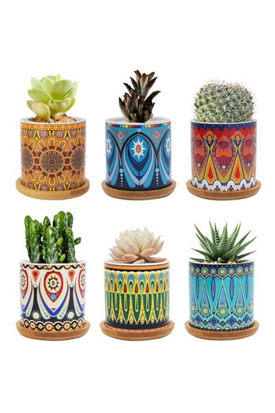 Generic وعاء نباتات عصارية من سبنور، مقاس 7.5 سم، وعاء نباتات صبار بنمط ماندا...