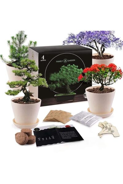 Generic مجموعة أشجار البونساي، هدية نمو البستنة للمبتدئين والبستانيين، زراعة ...