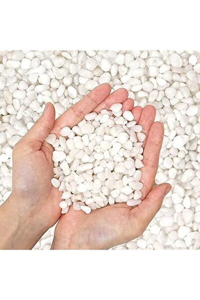 Generic Vsell24 White Decorative Pebbles – Natural River Rock Pebbles for Pla...