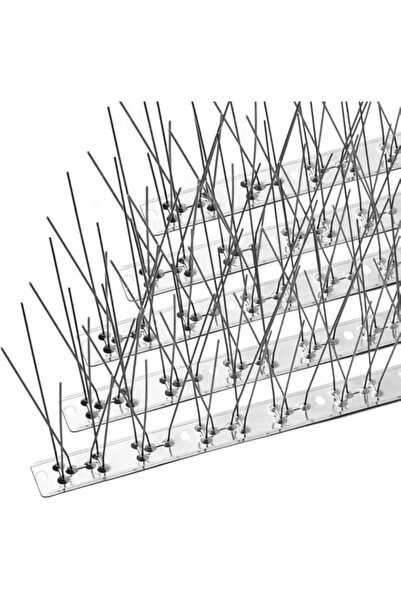 Generic مجموعة من 10 مسامير طيور من الفولاذ المقاوم للصدأ - طارد قوي للحمام و...