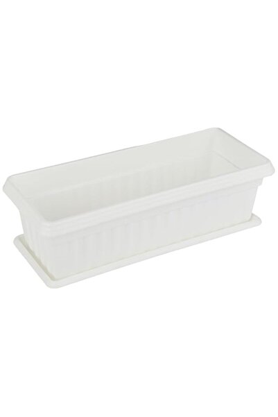 Generic وحدة تغذية الحيوانات البرية من كوزموبلاست - وعاء صغير مع صينية - أخضر...