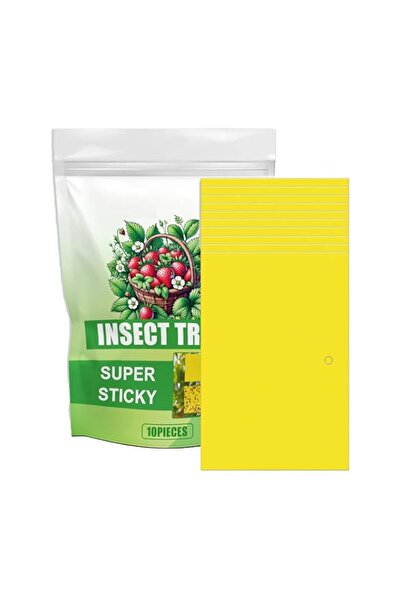 Generic Fruit Fly Traps, 10Pieces Double Sided Efficient Sticky Traps, Yellow...