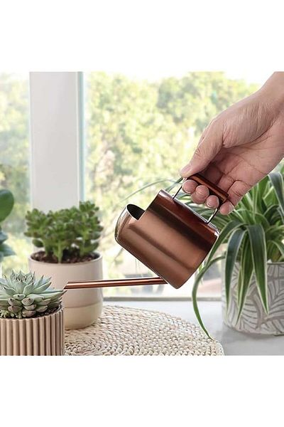 Generic Tazweeq Mini Watering Can, Stainless Steel, 300ml, Bronze