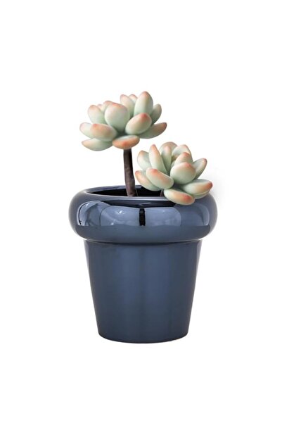 Generic أواني زراعة مصقولة ومطلية بالكهرباء من أنسوبو، أواني خزفية زجاجية فري...