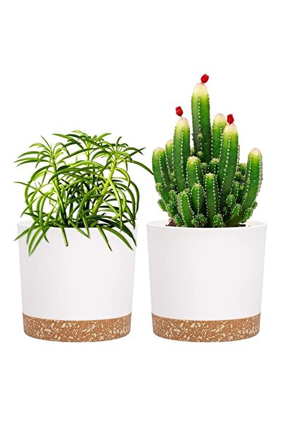 Generic Bukela 5 inch Plant Pot, 2 Pack Planters for Indoor Plants with Drain...
