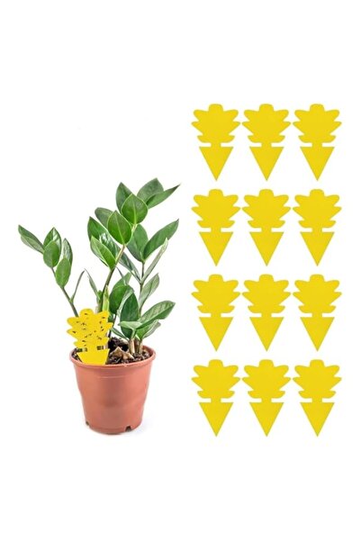 Generic YARDHOBI Fruit Fly Traps, Fungus Gnat Traps, Yellow Sticky Bug Traps,...