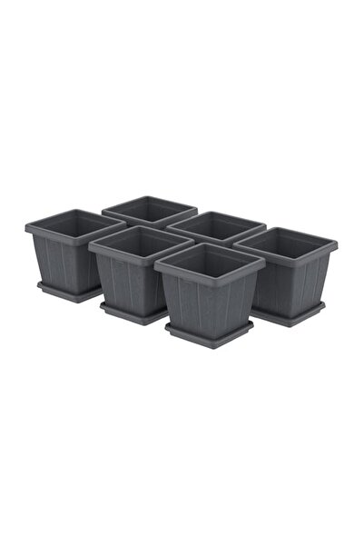 Generic Cosmoplast 10L Cedargrain Square Planter with Tray Set of 6