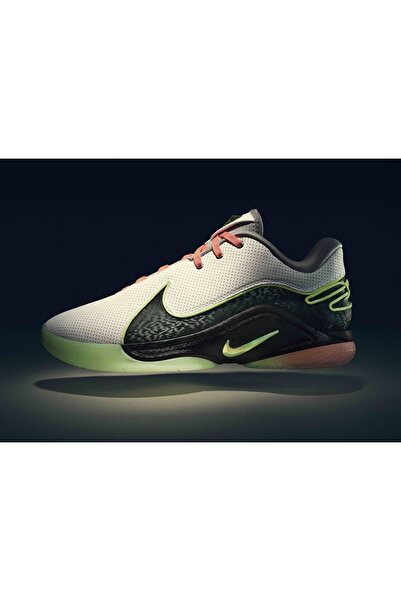 Nike LEBRON 22 MOONLİGHT ERKEK PROFESYONEL BASKETBOL AYAKKABISI-FZ1094-101-SPORTXOUTLET