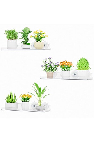 Generic رف حائط شفاف من لايف ويت، وعاء زهور، عبوة من 3 قطع، رف نباتات بلاستيك...