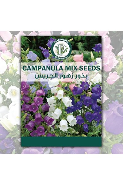 Generic بذور الكامبانيولا للزراعة - بذور زهور الحديقة للزراعة - مزيج بذور الك...