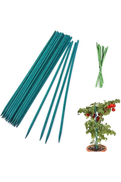 Generic Valuxe 30 PCS Bamboo Sticks, Decorative Wooden Plant Support Stakes, ...
