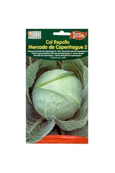 Generic Euro Garden Cabbage