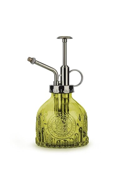 Generic زجاجة نباتات زجاجية سعة 200 مل، زجاجة رذاذ عتيقة مع مضخة علوية، بخاخ ...