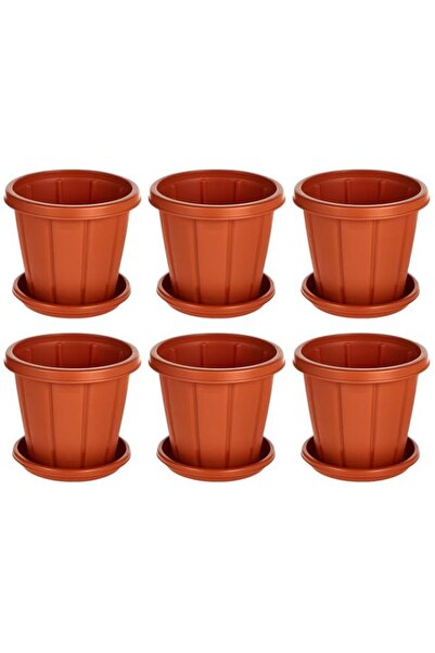 Generic Cosmoplast Cedargrain 10" Flowerpot with Tray Set of 6