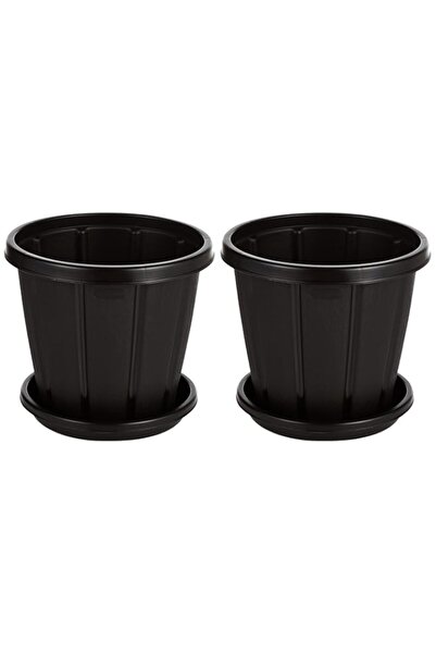 Generic Cosmoplast Cedargrain 10" Flowerpot with Tray Set of 2