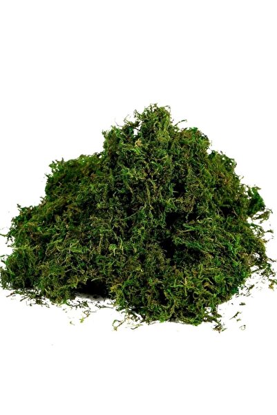 Generic Artificial Moss Fake Green Grass for Centerpieces Home Kitchen Garden...