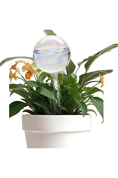 Generic جافيوست، قطعة واحدة من كرات ري النباتات الشفافة، لمبات بلاستيكية ذاتي...