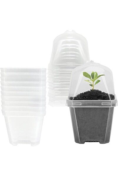 Generic أوعية حضانة شفافة من تزوييق مع قبة مقاومة للرطوبة، 10 قطع من أوعية ال...