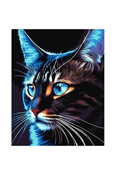 qbee Pictură pe numere - Cosmo-pisică 40x50 cm