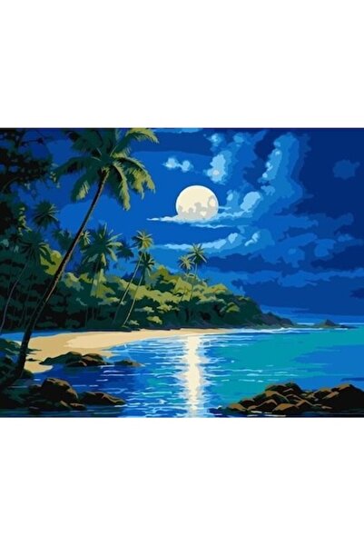 qbee Pictură după numere - Lumină de lună 40x50cm