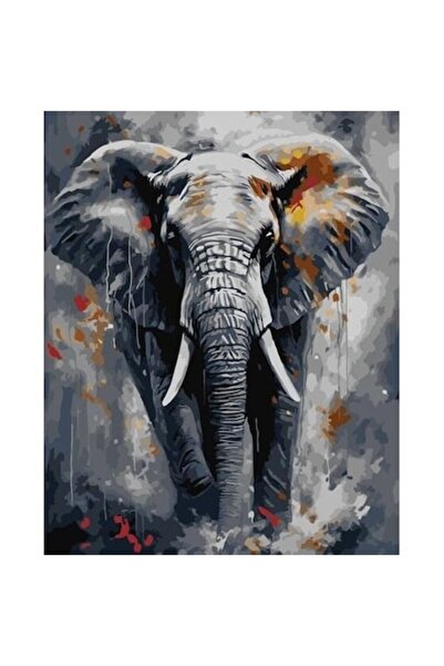 qbee Pictură pe numere - Elefant maiestuos 40x50cm