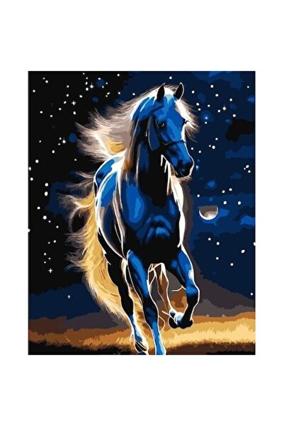 qbee Pictură pe numere - Cal mândru 40x50cm