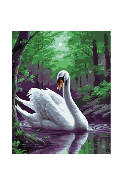 qbee Pictură pe numere - Lebădă magică 40x50cm