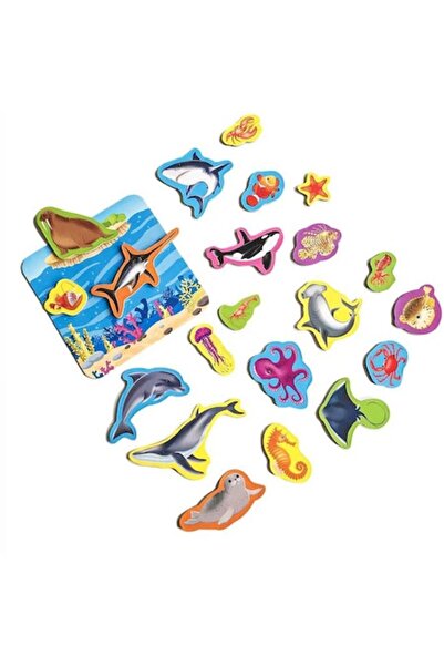 Roter Kafer Set magnetic Animale marine cu tablă magnetică, 21 piese, Roter K...