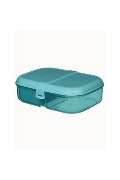 Sistema Freezer Safe BPA-Free Plastic Ribbon Lunch Box with Mini Bite – Assorted Colours 1.1L