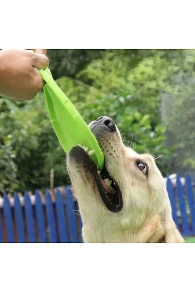 Levent Kılıç Ticaret Silicone Frisbee Dog Toy
