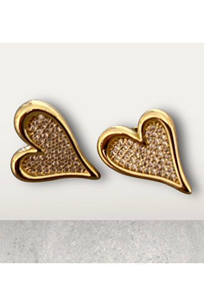 VEGALUXE Çelik Kalpli Zirkon Taşlı Küpe