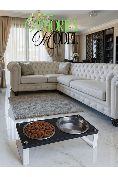 Okay Food and Water Stand for Cats and Dogs - 10 Percent Slope, High Quality and Healthy Design