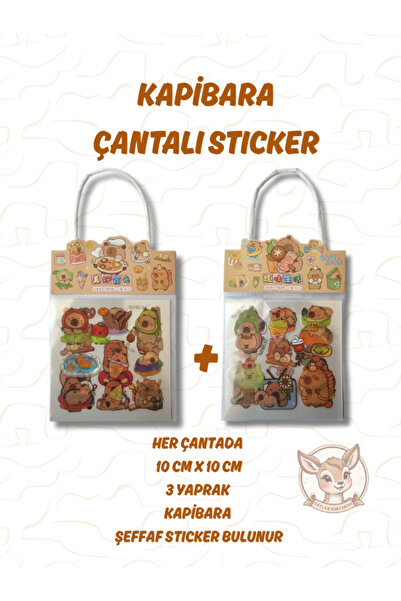 Ceylan Kırtasiye Kapibara Çantalı Şeffaf Sticker Capybara Sticker Defter Lapt...