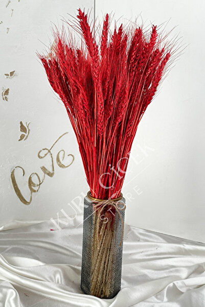 Natural Dried Wheat Spike Bundle (30 Pieces )