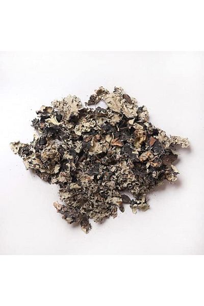 Generic Shiba 1000 gm