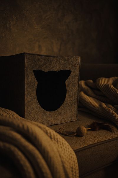 YUNUSOĞLU HOME Gray Felt Cat Nest Decorative Food Container Base Organizer Organizer Foldable