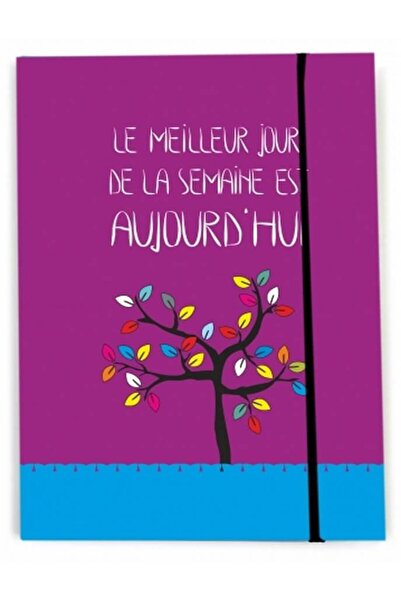 Arhi Design Agenda Optimus, Pomisor, Velin