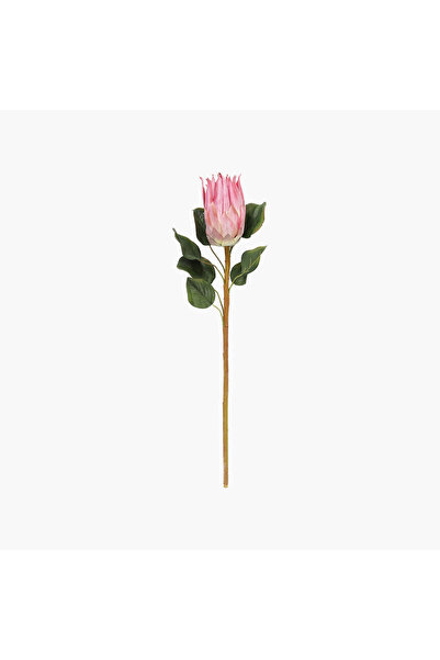 JASMIN CONCEPTS Protea Dal Pembe 68 cm