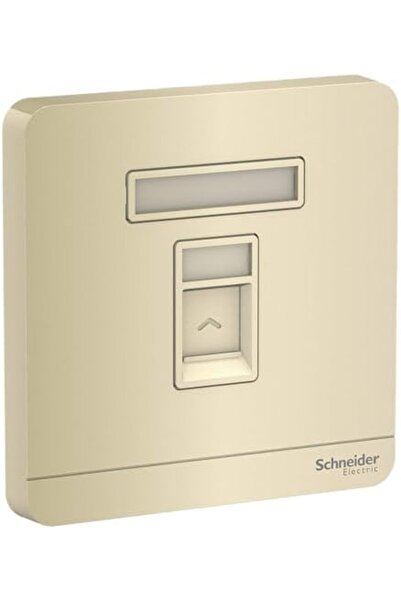 Schneider Electric E8331RJS_WG AvatarOn Gold - لوحة حائط Keystone أحادية العصابة مع مصراع بدون Keysto