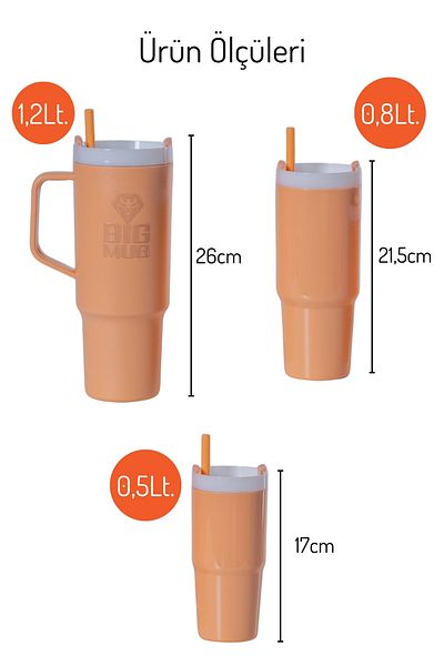Nandy Home 3 Size Water Bottle Set with Straw 1200ml. , 800ml. , 500ml.