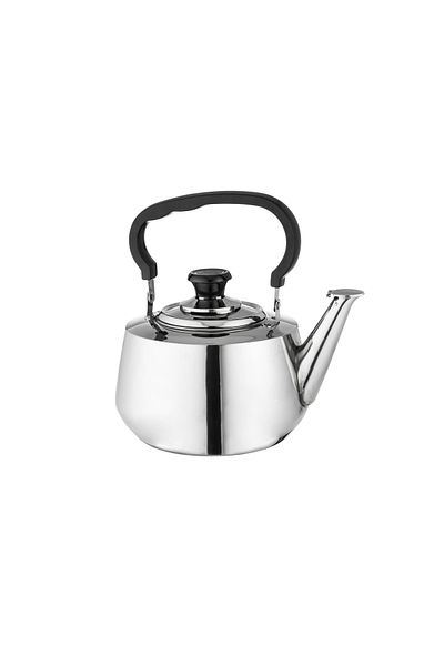 Dania Stainless Steel Heat-Resistant Non-Rust Tea Kettle, 4 Liter