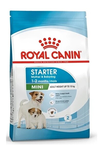 Royal Canin Mini Starter Yavru Köpek Maması 4 kg