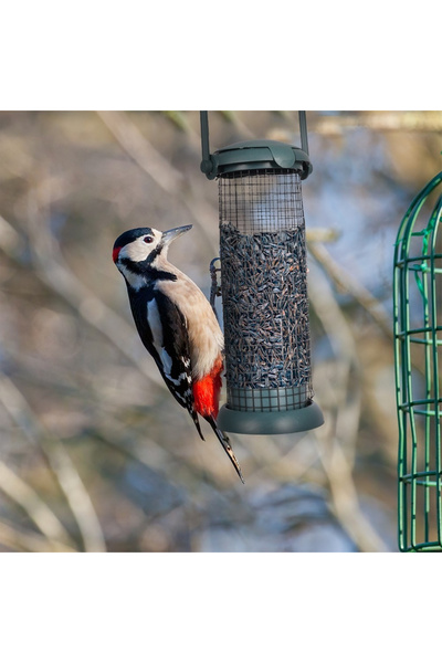 IPAE PROGARDEN 23cm fat ball shaped metal bird feeder.