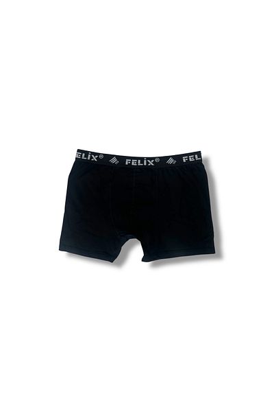 Erdenay Tekstil Cotton Lycra Men's Boxers 10 Pack