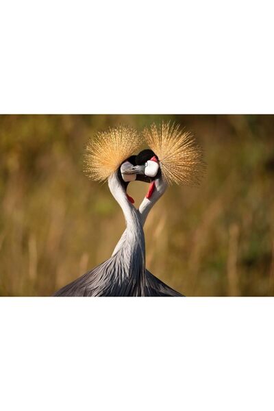 KESKİN COLOR Puzz - Panoramic Puzzle, Brick Crane (Süha Derbent), 68 X 48 Cm, 1000 Pieces (Sharp Color 260704-99)