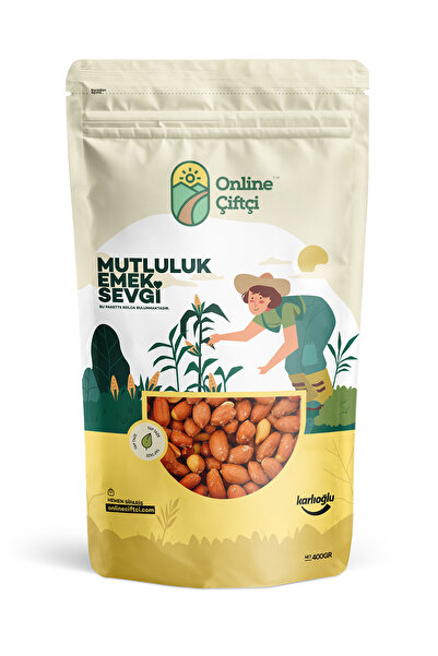 OnlineÇiftçi Tuzlu Kavrulmuş Yer Fıstığı 400Gr