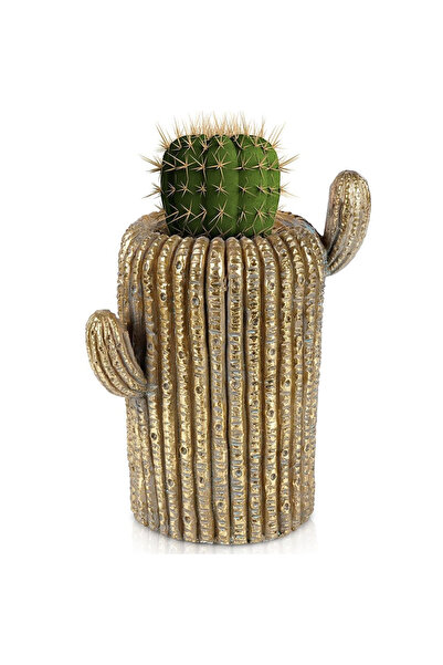 shumee Husă pentru ghiveci de cactus aurie de 34,5 cm